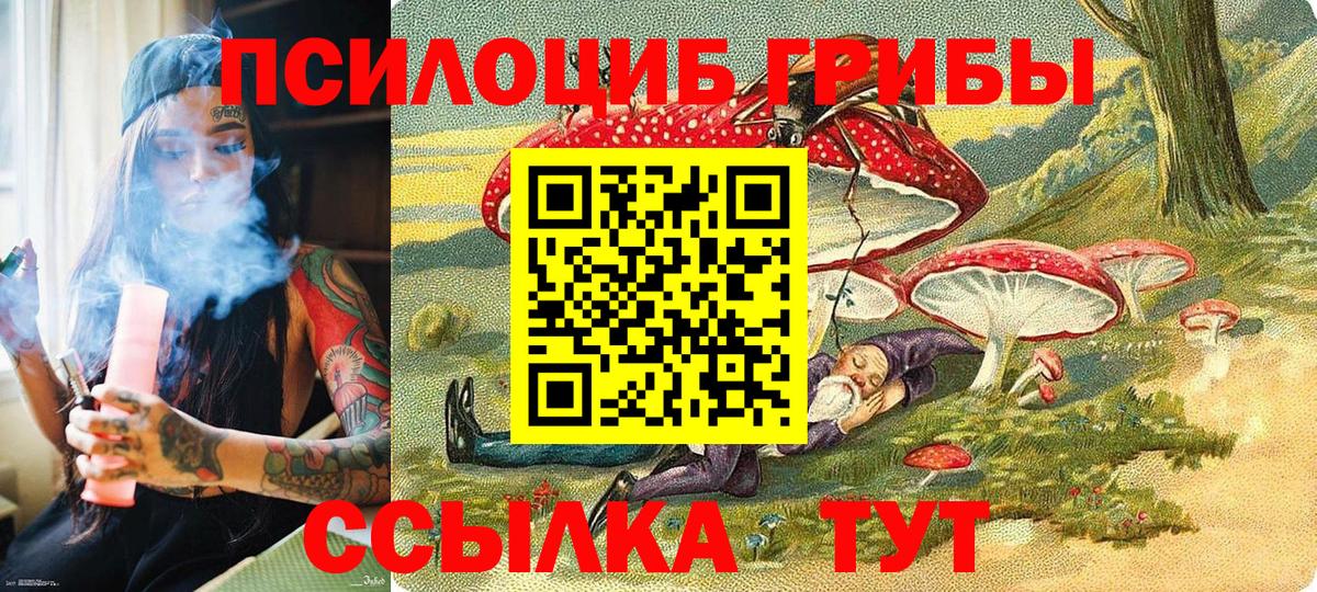 Тихорецк  Галлюциногенные грибы Magic Shrooms  Вход с VPN 