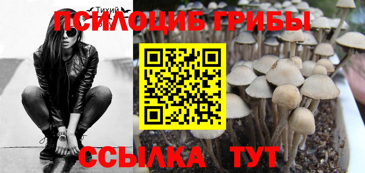 Галлюциногенные грибы прущие грибы Тихорецк
